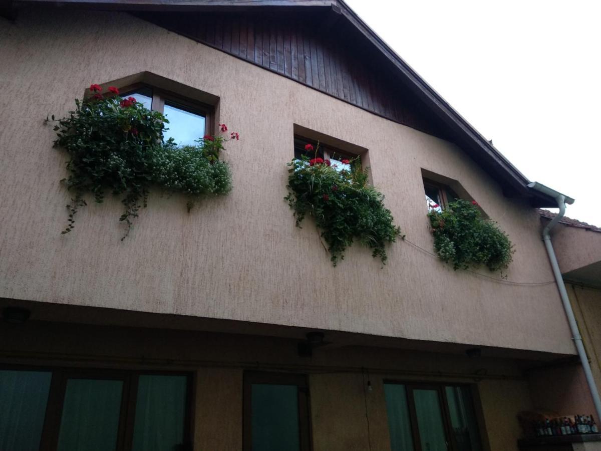 Apartament Casa Charlot Braszów Zewnętrze zdjęcie